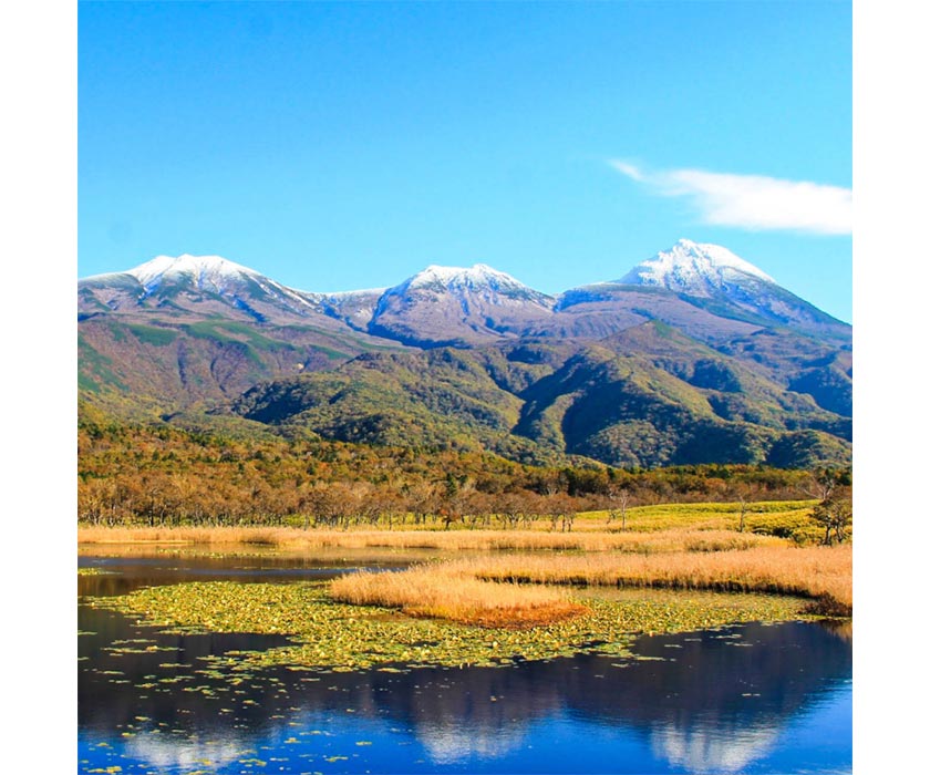 北海道・知床にて、「原生林と湖をめぐる知床五湖ハイキング」開催